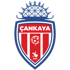 Cankayaspor U19 队徽